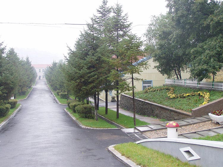 康复路.jpg